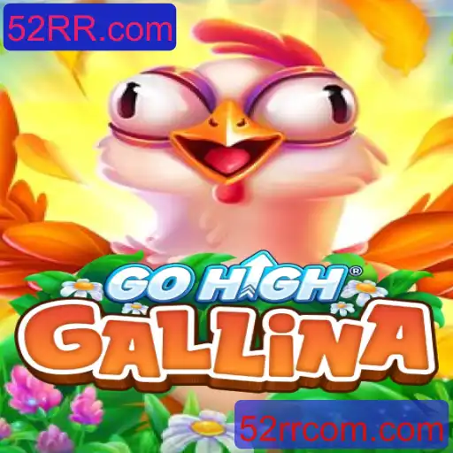 Explorando o Fascinante Mundo de GoHighGallina