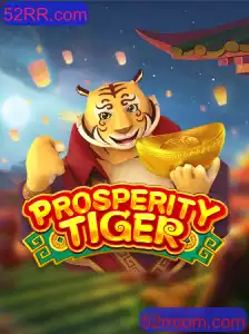 Descubra o Fascinante Mundo de ProsperityTiger: Uma Imersão em 52RR.com